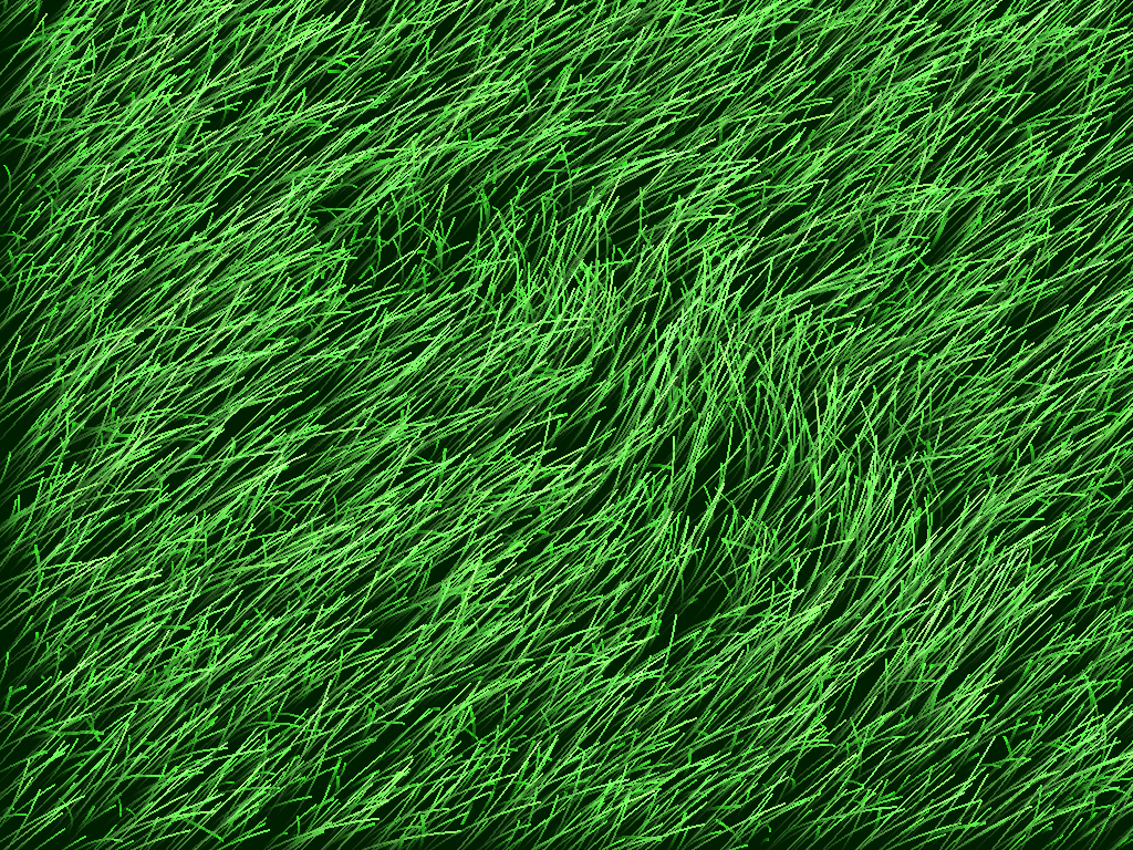 Grass