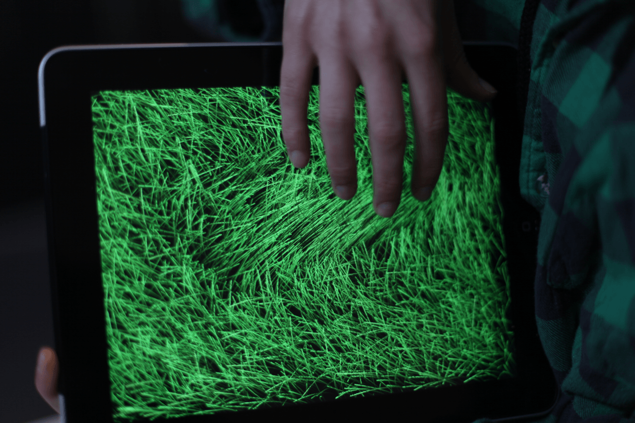 Grass
