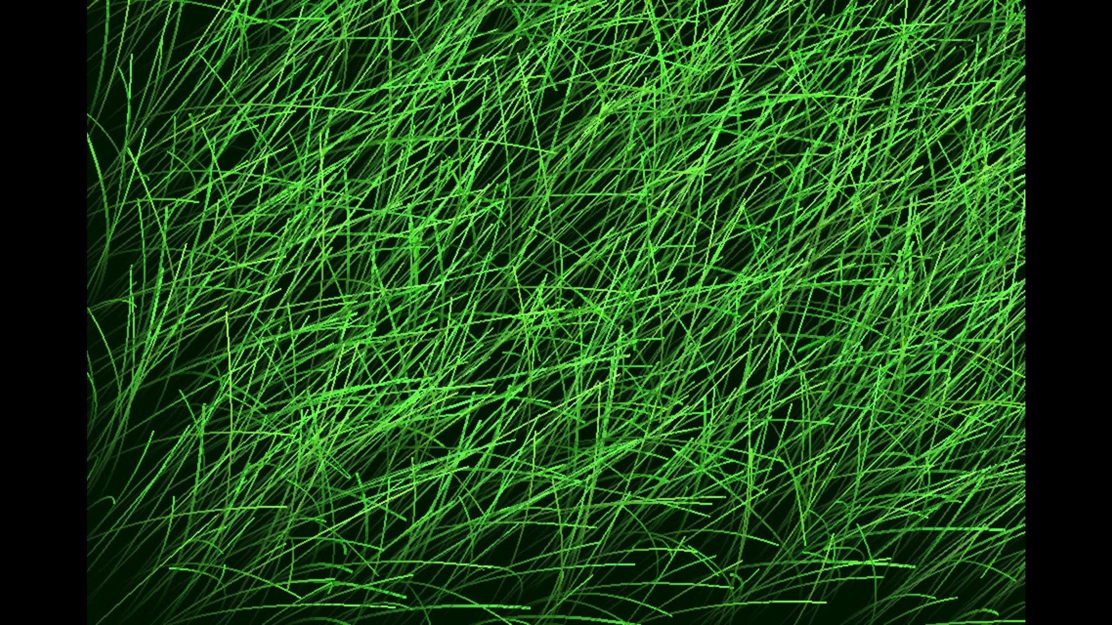 Grass